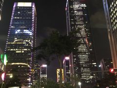 -维也纳国际酒店(深圳新洲店)