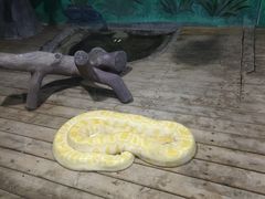 -石家庄市动物园