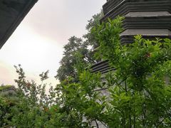-正阳书局(西四南大街店)