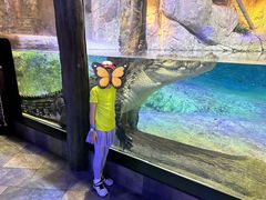 -迪拜水族馆及水下动物园