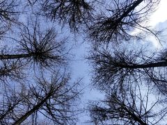 -硗碛藏寨·神木垒景区