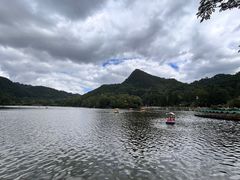 -黔灵山公园