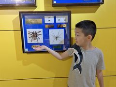 -上海昆虫博物馆