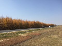 -塞罕坝国家级自然保护区