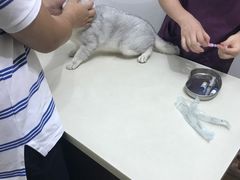 -甄爱宠物医院(疏影路店)