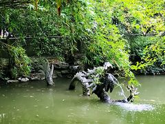 -汇龙潭