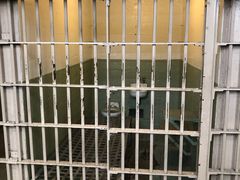 -阿尔卡特拉斯岛