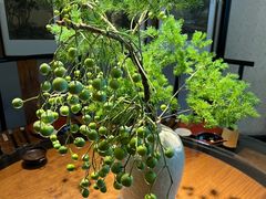 -31号公馆(黄兴广场白果园店)