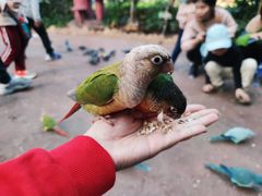 -灵玲国际马戏城