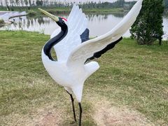 -盐城丹顶鹤湿地生态旅游区