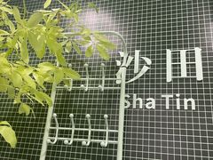 -和胜麻雀·棋牌室