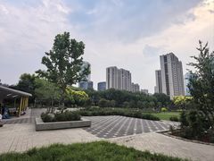 -大望京公园