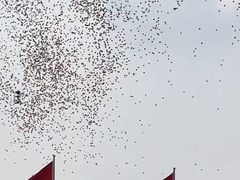 -京八珍(虎坊桥店)