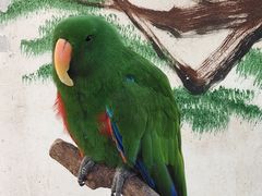 -西霞口神雕山野生动物世界