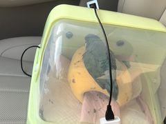 -瑞派·关忠动物医院·异宠专科·犬猫肿瘤·皮肤专科(望京店)