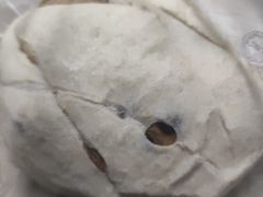 -野上麦田(中贸广场店)