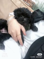 -哈妮儿童摄影(德清店)