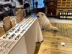 -肆兮眼镜·蔡司·徕卡战略合作店(大坪店)