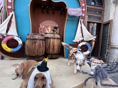 -华谊兄弟（长沙）电影小镇