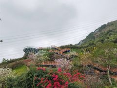 -小南山公园