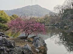 -西湖游船