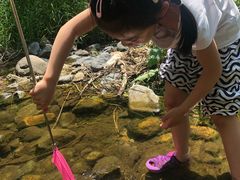 -碓臼峪自然风景区