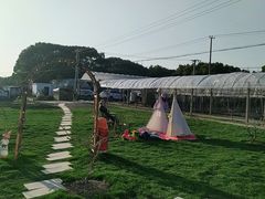 -美家乐农庄·露营·团建(大治路店)