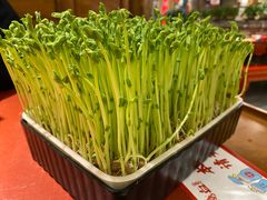 -谭鸭血老火锅(龙湖宝山天街店)