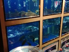水产区-老阿爸鲜鱼土菜(昆山花桥店)