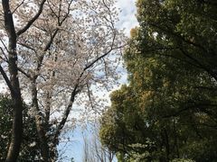 -宋庆龄陵园