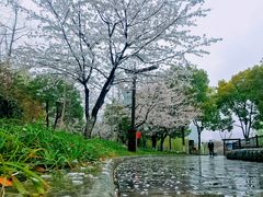 -堤角公园