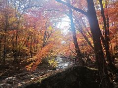 -本溪老边沟风景区