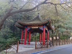 -大芦花风景区