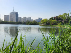 -日照海滨国家森林公园