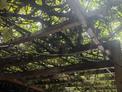 -墨白私房菜·广东菜 粤菜