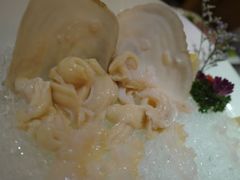 象鼻蚌胆肉部分-辉哥火锅(虹桥路店)
