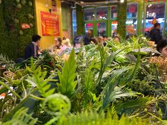 -钢管厂五区小郡肝串串香(奥克斯广场锦城万达店)