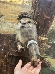 -Zoolung Zoolung动物主题公园(海信广场店)