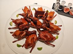 -侨美食家·41年地道粤菜(珠江新城店)