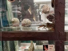 -官也街澳门火锅(新源里店)