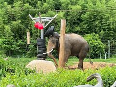 -宁波野生动物园