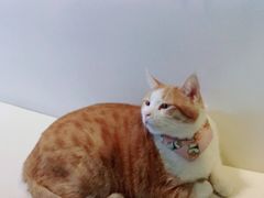 -小时光咖啡馆(北锣鼓巷店)