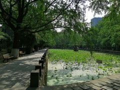 -四川大学(华西校区)