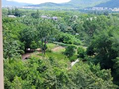-亚龙湾红树林度假酒店-韩轩韩餐厅