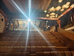 -宣科纳西古乐·非遗音乐(大水车店)