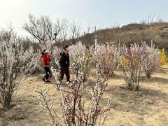 -白水寺森林公园