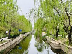 -元大都城垣遗址公园