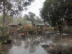 -青城甲(青城山店)