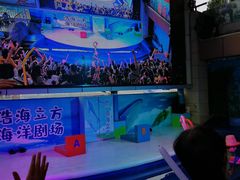 -成都浩海立方海洋公园