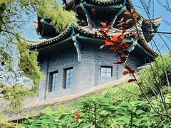 -四川大学(华西校区)